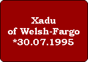 Xadu
of Welsh-Fargo
*30.07.1995