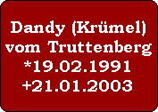 Dandy (Krümel)
vom Truttenberg
*19.02.1991
+21.01.2003
