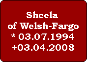 Sheela 
of Welsh-Fargo
* 03.07.1994
+03.04.2008