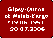 Gipsy-Queen
of Welsh-Fargo
*19.05.1991
*20.07.2006