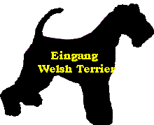 Eingang 
Welsh Terrier